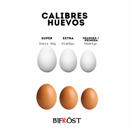 Pack x 120 Huevos Primera I Huevos de Campo