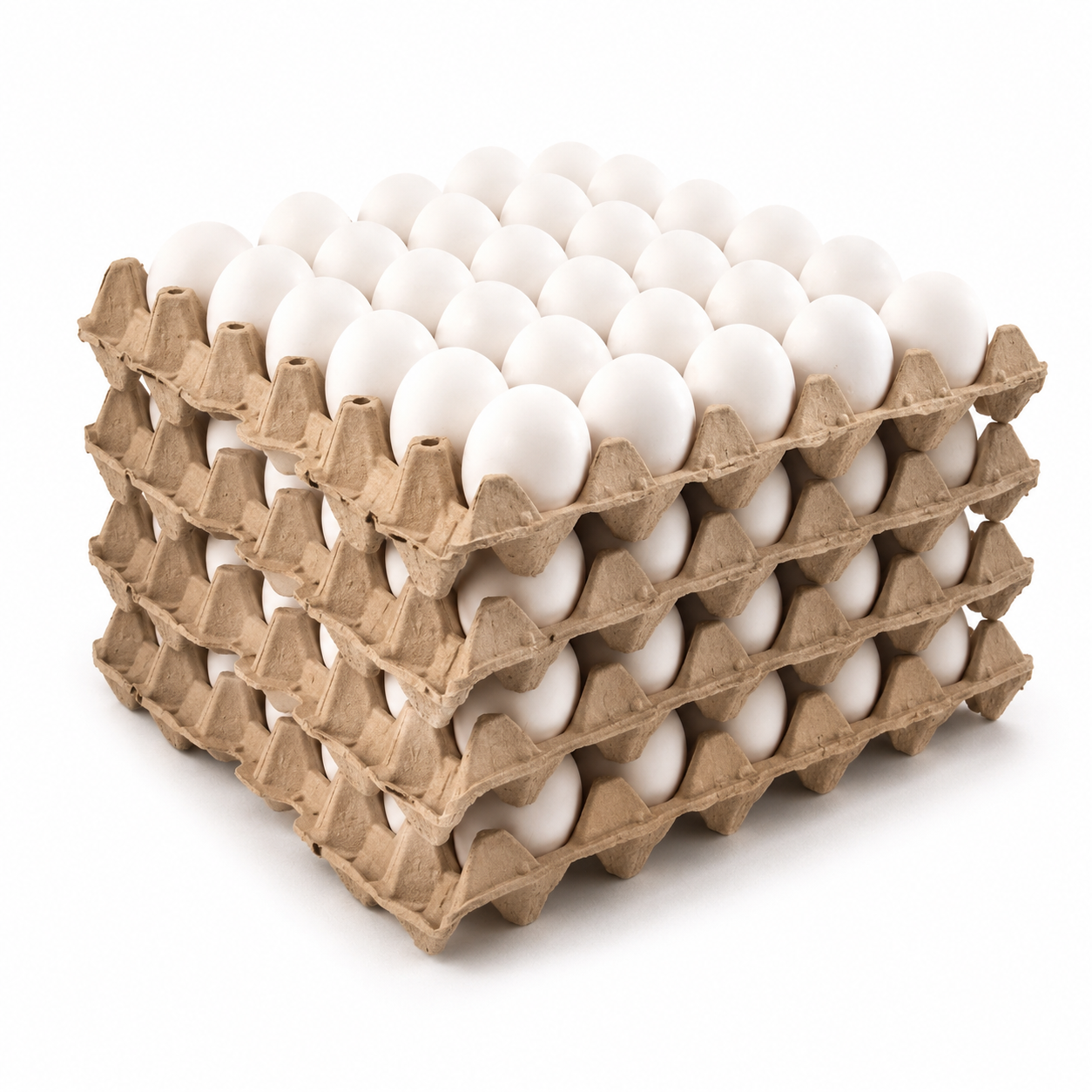 Pack x 120 Huevos Primera I Huevos de Campo