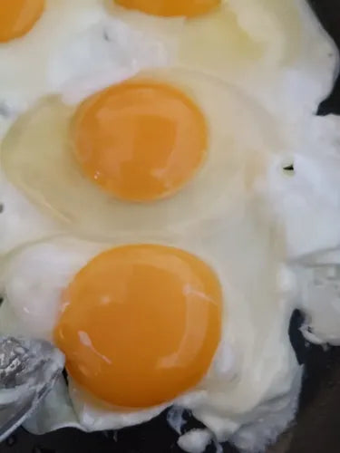 Pack x 120 Huevos Primera I Huevos de Campo