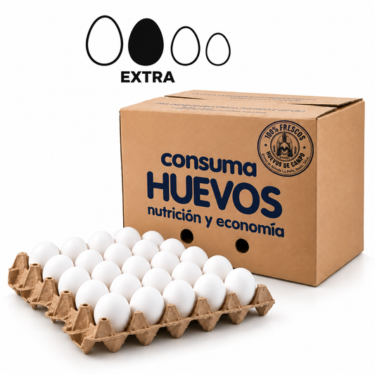 Caja x 180 Huevos Extra Grandes I Huevos de Campo